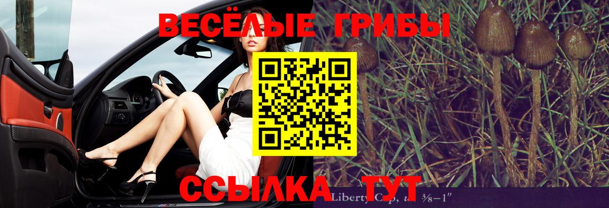 Галлюциногенные грибы Psilocybe  Галлюциногенные грибы прущие грибы  Вход с VPN  Курчатов 